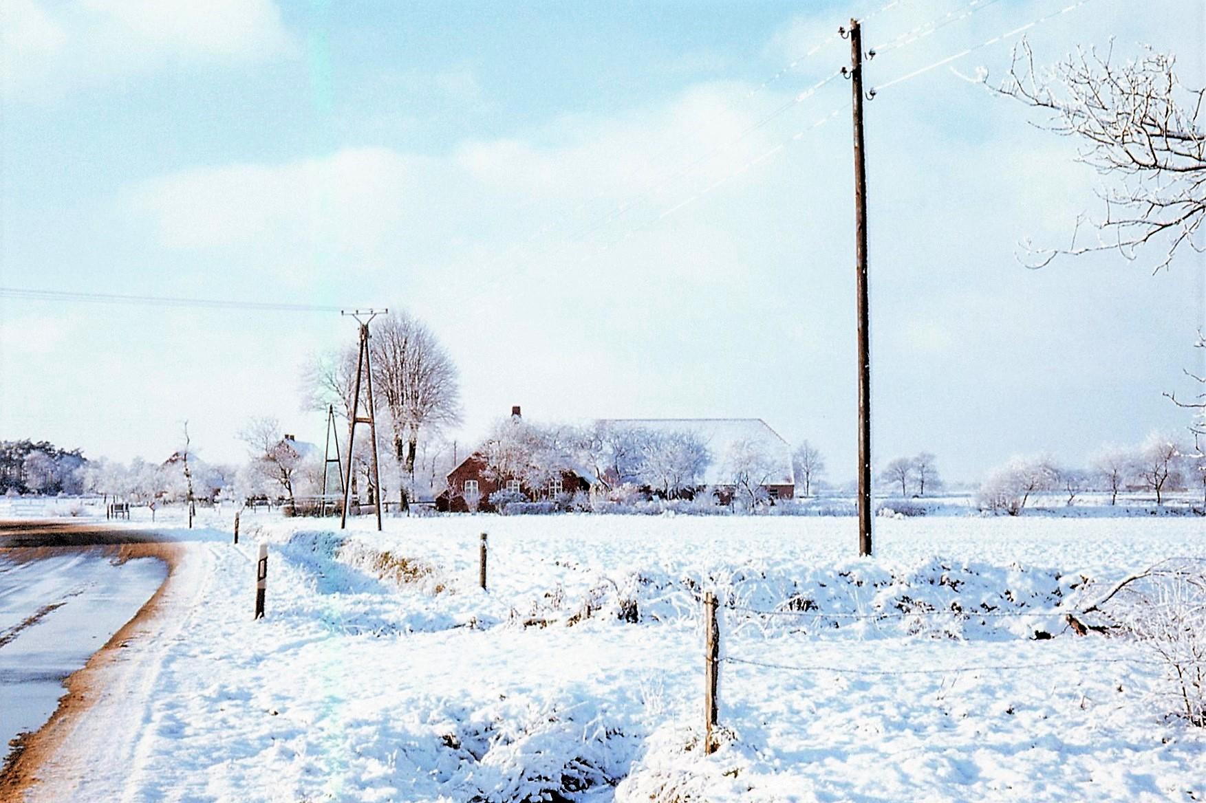 Ostfreisland farm in 1970-71